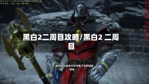 黑白2二周目攻略/黑白2 二周目-第1张图片
