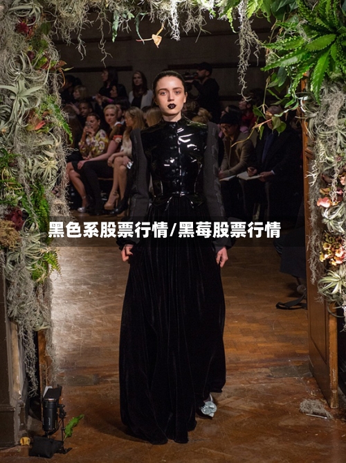黑色系股票行情/黑莓股票行情-第1张图片