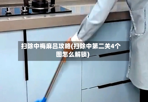 扫除中梅麻吕攻略(扫除中第二关4个图怎么解锁)-第1张图片