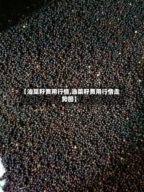 【油菜籽费用行情,油菜籽费用行情走势图】-第1张图片