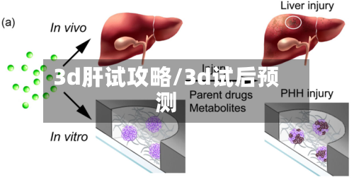 3d肝试攻略/3d试后预测-第1张图片