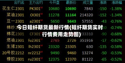 今日短纤期货最新行情(短纤期货实时行情费用走势图)-第1张图片