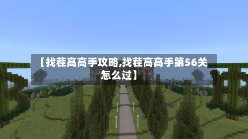 【找茬高高手攻略,找茬高高手第56关怎么过】-第1张图片