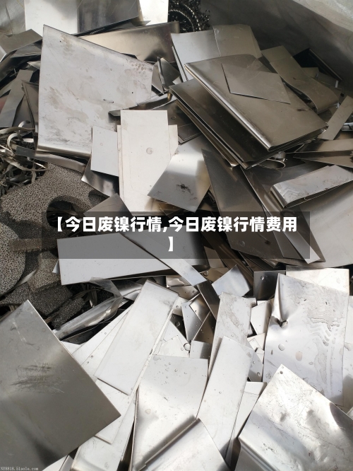 【今日废镍行情,今日废镍行情费用】-第1张图片