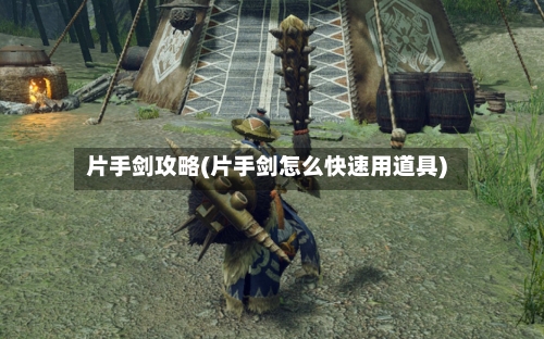 片手剑攻略(片手剑怎么快速用道具)-第1张图片
