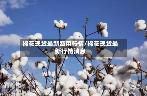 棉花现货最新费用行情/棉花现货最新行情消息-第1张图片