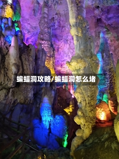 蝙蝠洞攻略/蝙蝠洞怎么堵-第2张图片