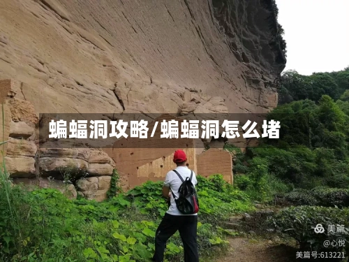 蝙蝠洞攻略/蝙蝠洞怎么堵-第1张图片