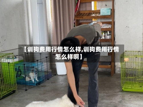 【训狗费用行情怎么样,训狗费用行情怎么样啊】-第1张图片