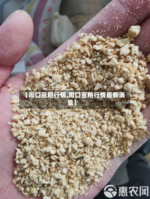 【周口豆粕行情,周口豆粕行情最新消息】-第3张图片