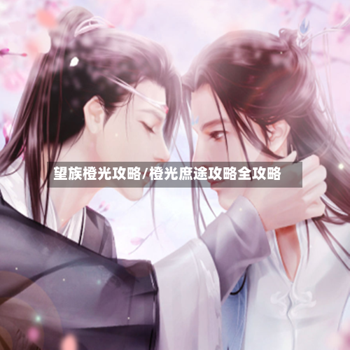 望族橙光攻略/橙光庶途攻略全攻略-第1张图片