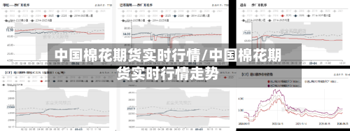 中国棉花期货实时行情/中国棉花期货实时行情走势-第1张图片