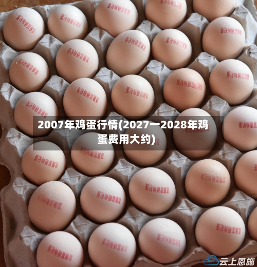 2007年鸡蛋行情(2027一2028年鸡蛋费用大约)-第2张图片