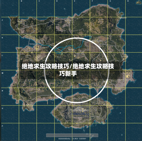 绝地求生攻略技巧/绝地求生攻略技巧新手-第1张图片