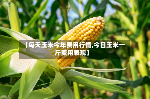 【每天玉米今年费用行情,今日玉米一斤费用表观】-第1张图片