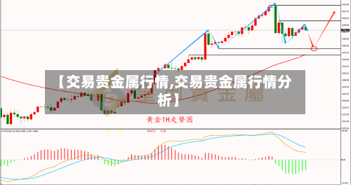 【交易贵金属行情,交易贵金属行情分析】-第1张图片