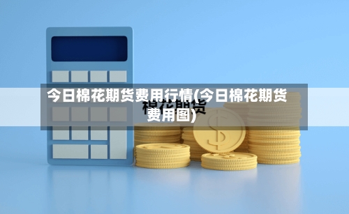 今日棉花期货费用行情(今日棉花期货费用图)-第3张图片