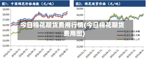今日棉花期货费用行情(今日棉花期货费用图)-第1张图片