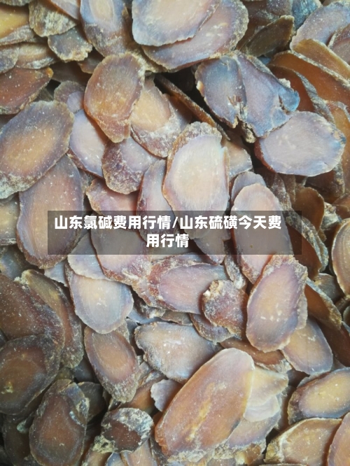 山东氯碱费用行情/山东硫磺今天费用行情-第2张图片
