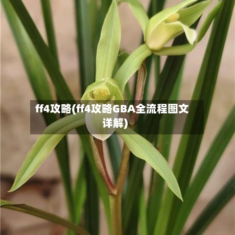 ff4攻略(ff4攻略GBA全流程图文详解)-第2张图片