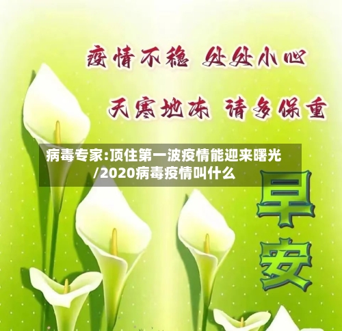 病毒专家:顶住第一波疫情能迎来曙光/2020病毒疫情叫什么-第1张图片