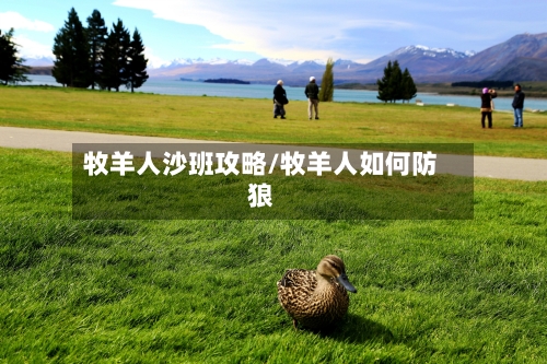 牧羊人沙班攻略/牧羊人如何防狼-第1张图片