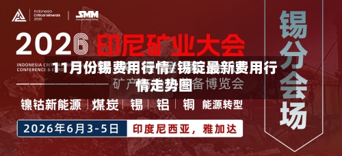 11月份锡费用行情/锡锭最新费用行情走势图-第1张图片