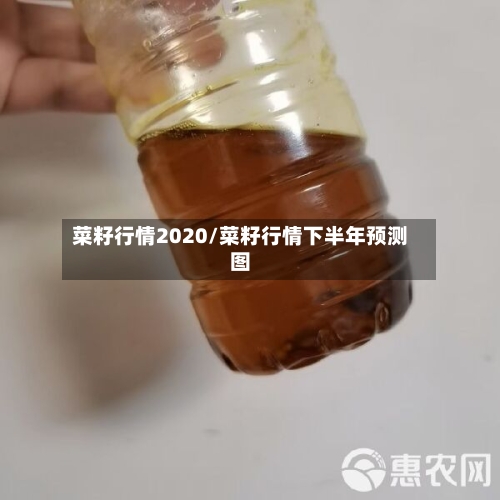 菜籽行情2020/菜籽行情下半年预测图-第3张图片