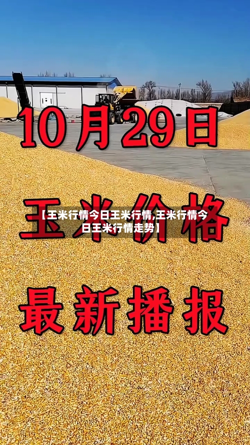 【王米行情今日王米行情,王米行情今日王米行情走势】-第1张图片