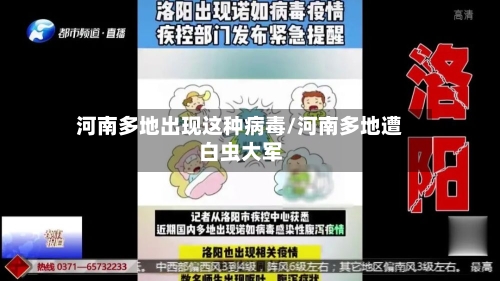 河南多地出现这种病毒/河南多地遭白虫大军-第1张图片