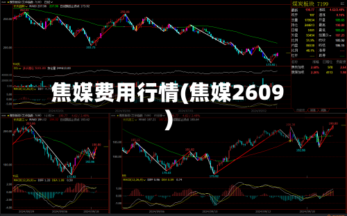 焦媒费用行情(焦媒2609)-第1张图片