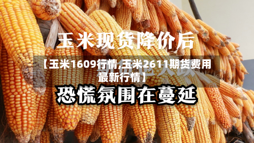 【玉米1609行情,玉米2611期货费用最新行情】-第3张图片