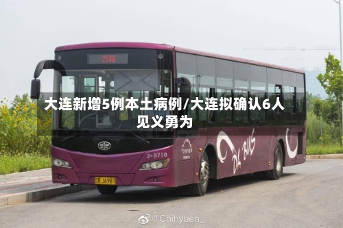 大连新增5例本土病例/大连拟确认6人见义勇为