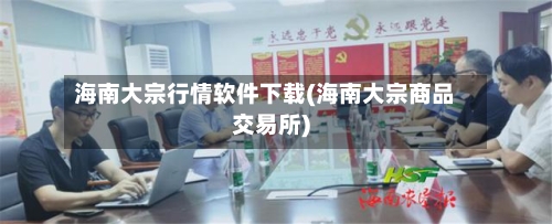 海南大宗行情软件下载(海南大宗商品交易所)-第1张图片