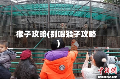 猴子攻略(别喂猴子攻略)-第1张图片