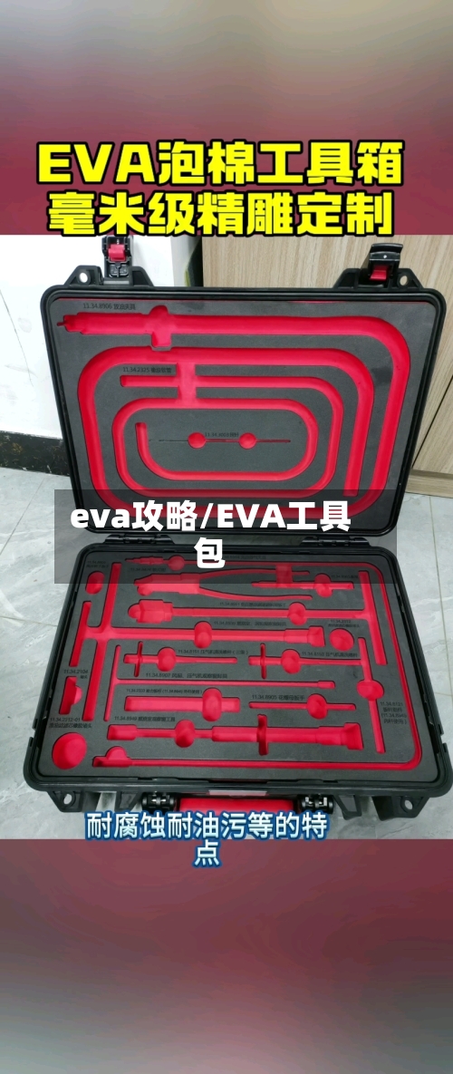 eva攻略/EVA工具包-第1张图片