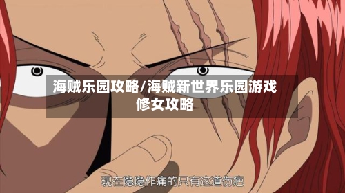 海贼乐园攻略/海贼新世界乐园游戏修女攻略-第1张图片