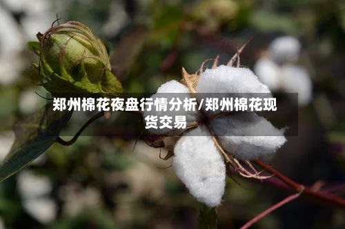 郑州棉花夜盘行情分析/郑州棉花现货交易-第2张图片