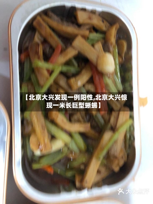 【北京大兴发现一例阳性,北京大兴惊现一米长巨型蜥蜴】-第1张图片