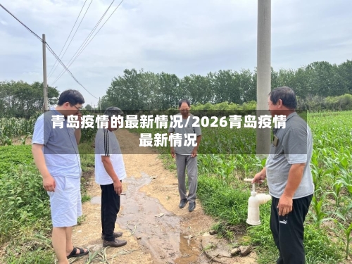 青岛疫情的最新情况/2026青岛疫情最新情况-第1张图片