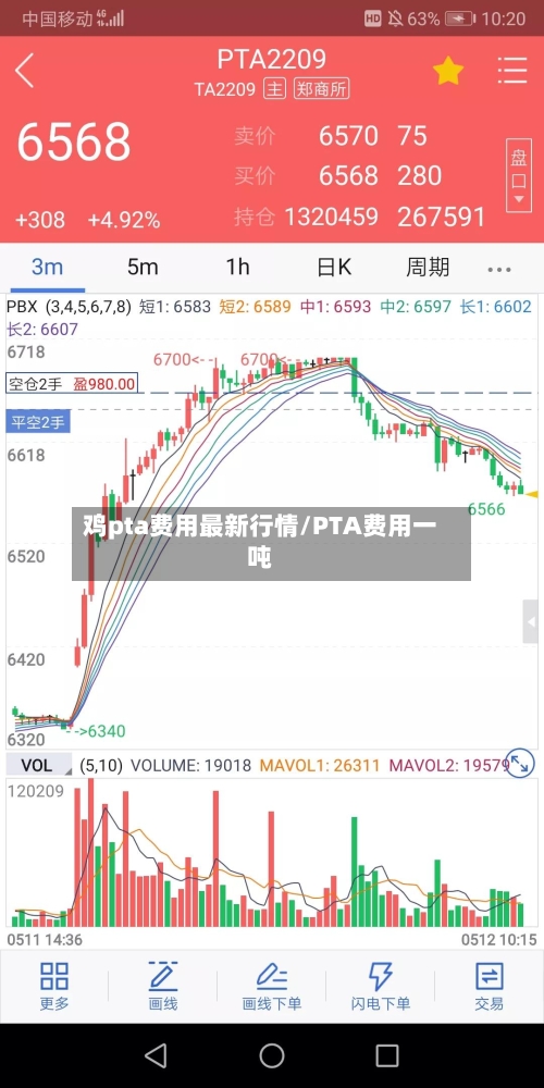 鸡pta费用最新行情/PTA费用一吨-第2张图片