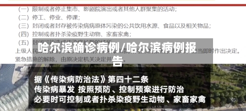 哈尔滨确诊病例/哈尔滨病例报告