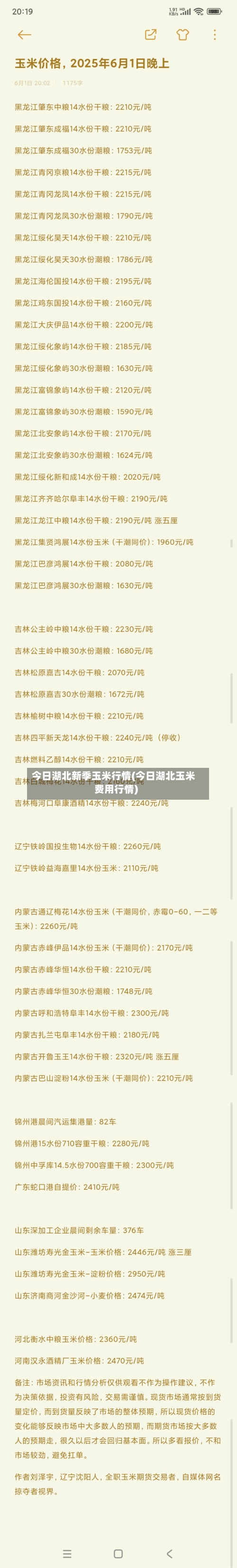 今日湖北新季玉米行情(今日湖北玉米费用行情)-第3张图片