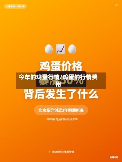 今年的鸡蛋行情/鸡蛋的行情费用-第2张图片