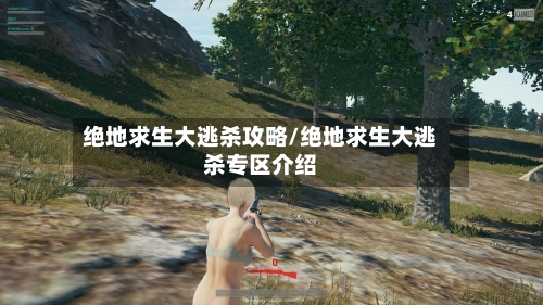绝地求生大逃杀攻略/绝地求生大逃杀专区介绍-第1张图片