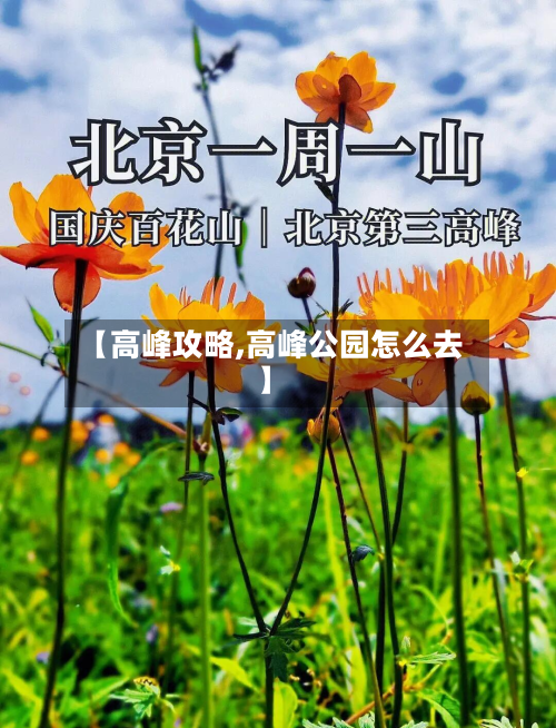 【高峰攻略,高峰公园怎么去】-第1张图片