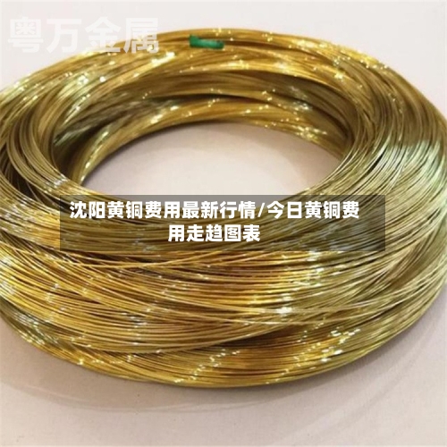 沈阳黄铜费用最新行情/今日黄铜费用走趋图表-第2张图片