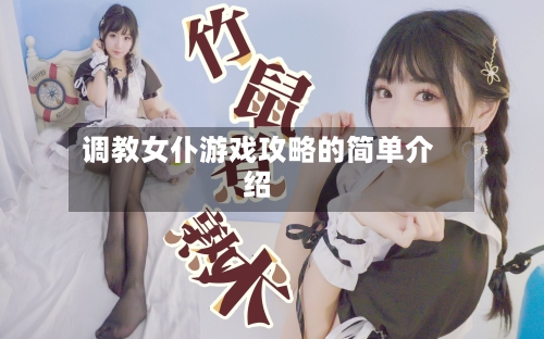 调教女仆游戏攻略的简单介绍-第1张图片