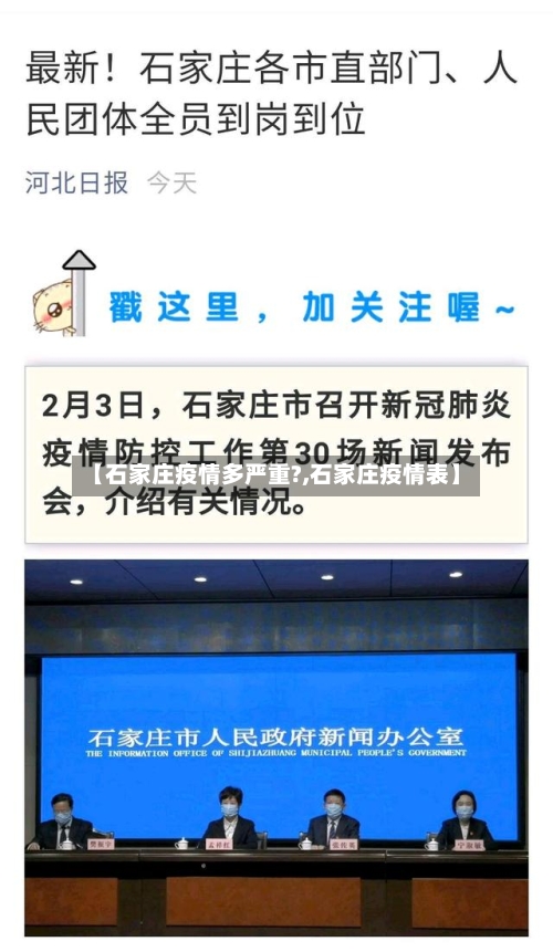 【石家庄疫情多严重?,石家庄疫情表】-第3张图片