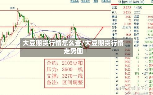 大豆期货行情怎么查/大豆期货行情走势图-第2张图片
